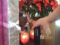 A Clean Christmas from Chopin N Mike