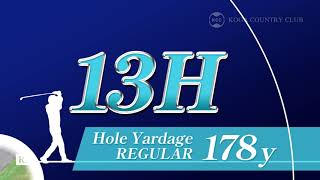 HOLE NO.13