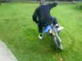 110 pit bike