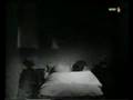 videos de barend de beer en pimpernel