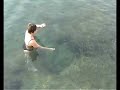 Hungry Fish