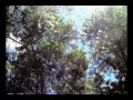 Ver Video