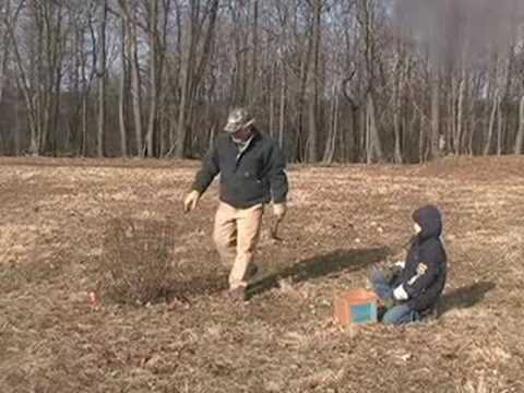 how to collect soil samples