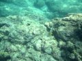 Saigon Sam Part 46: Snorkeling at Kon Kare Bay, Koh Racha Yai, Phuket, Thailand Part 6/6