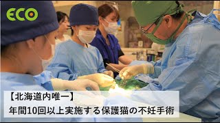 北海道エコ　Youtube Pickup!