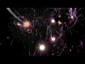 BEVERLY HILLS 808303 - ACID PLANET 7a