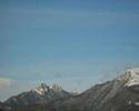 Erba di casa mia