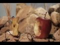Apples and Tangerines (Original) - The Phoenix Foundation
