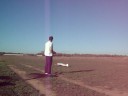 Accipiter Maiden Take Off