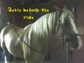 videos de Jakie the Arabian and me!