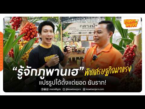 "โหระพาอิตาเลียน" พืชสร้างเงินแสน ไม่ต้องรอเกษียณก็เริ่มได้! | เกษตรสัญจร