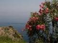 Eolie 2008