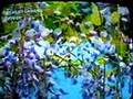 X JAPAN 1998 Girl Chick 女子高生 Hide 告別式 Yoshiki Toshi Heath