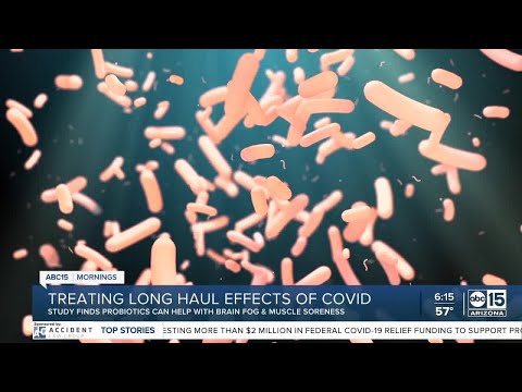 Probiotics Improve Long COVID – mercola.com