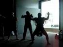 Haka in het Museum