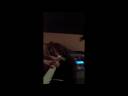 FALLIN CREATIONS - Creation, piano verson.