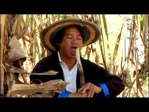 Txiv Xav Tau Ntau Niam Nrhiav Txiv Yau 1.1