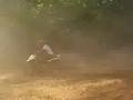 4-wheeler-racing