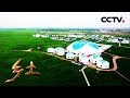 《乡土》坝上新鲜事 20180904 | CCTV农业
