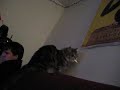 Eating Movie Poster and Flipping Out