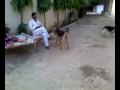 sunil patel house harda