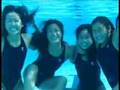 Milpitas High swimming team 2004