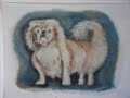 TIME LAPSE PEKINGNESE OIL PORTRAIT