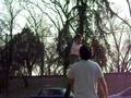 videos de bebe equilibrista