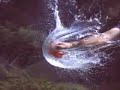 Recopilacion videos camara lenta \"slow motion\"