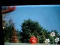 Telletubbies Gone Wrong?!?!?!