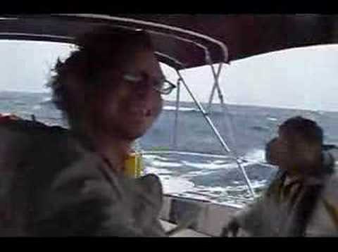 Gulf Stream Crossing in 4 minutes