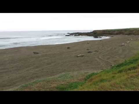 Video for Point Piedras Blancas Beach