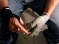 videos de Carving The Hand Part 1