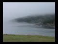 Newfoundland clips 2005 Newfoundland clips 2005