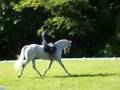 Victoria & Clonmel Dressage King Oak Fall 2008