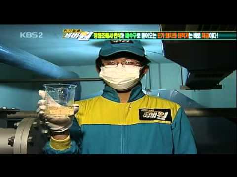 미꾸라지를 활용한 모기퇴치 효과(KBS2)