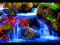 سلسله اروع الاناشيد الاسلاميه 2.