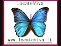 Al laghetto Decima di Locate