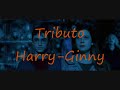 Solo Existes Tu (Harry-Ginny)