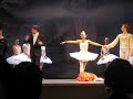 Pietarin Palatsi-teatteri: Joutsenlammen loppukumarrukset Pietarin Palatsi-teatteri: Joutsenlammen loppukumarrukset