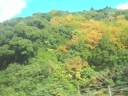 世界の車窓かな？　大井川鐵道の旅2　SL列車内の風景その2