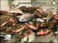 \"Quartieri\" Quartiere Japigia Bari (prima parte) \"Quartieri\" Quartiere Japigia Bari (prima parte)