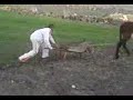 Vid�o-0002