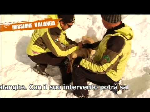 Vedi il video