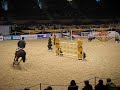 Show Jumping Odessey Belfast International horse show 2008