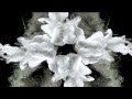 Andrew Rutajit's Psychedelic Kaleidoscope