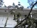 Monaghan Front Yard Post Hurricane Ike