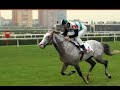 horse racing in turkey horse racing in turkey