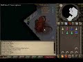 Solo Zammy