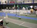 videos de Boston Stragglers at Flyball MAINEia 2008 -- passes